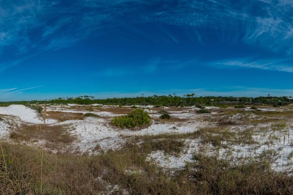 Paisagem costeira com dunas de areia, vegetação rala e céu azul límpido.