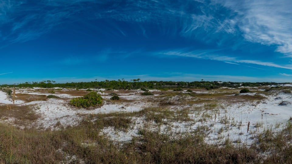 Wild Florida, Topsail Hill Preserve, Walton County Florida