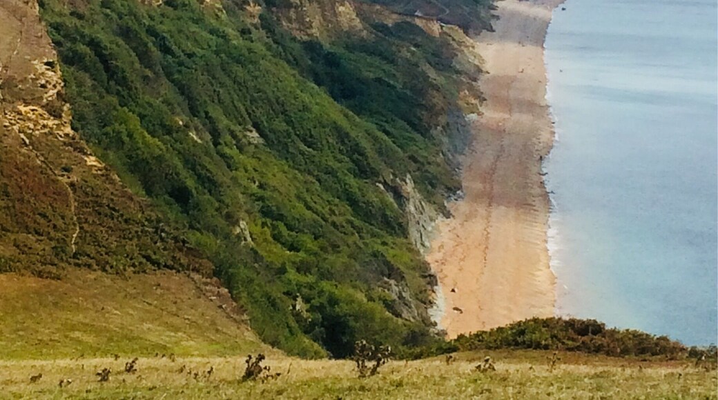 Another Beautiful spot on the coastal Path