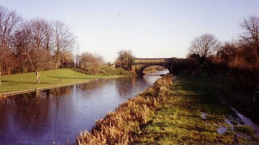 Grand Union Canal, Slough arm. A view eastwards along a boggy towpath towards the bridge carrying Middlegreen Road over the canal.