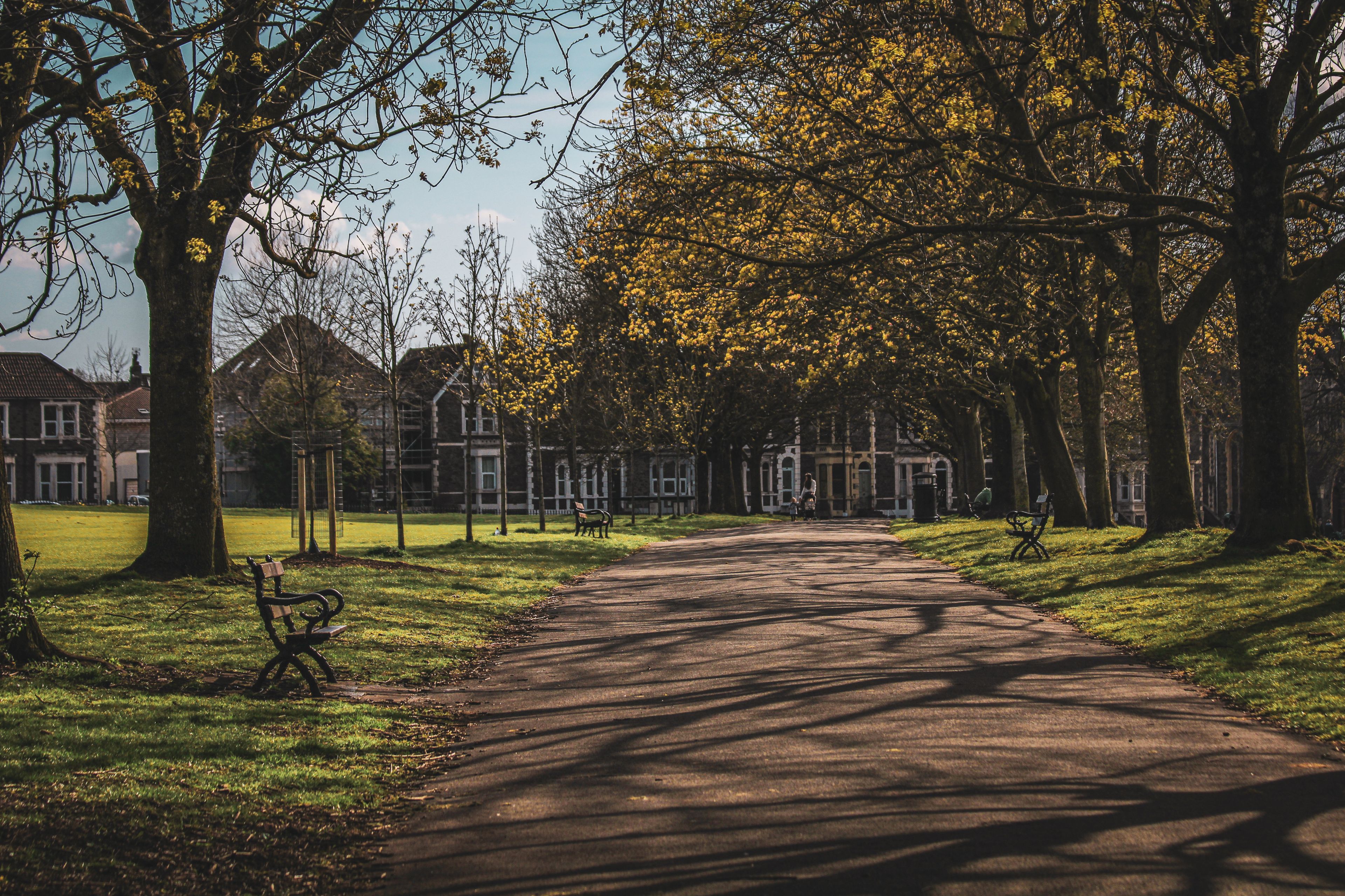 A park pathway lined with trees and benches, leading towards a row of buildings.