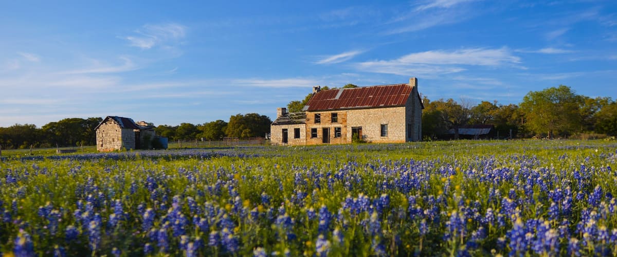 A stone house with a red roof surrounded by a field of blue flowers.