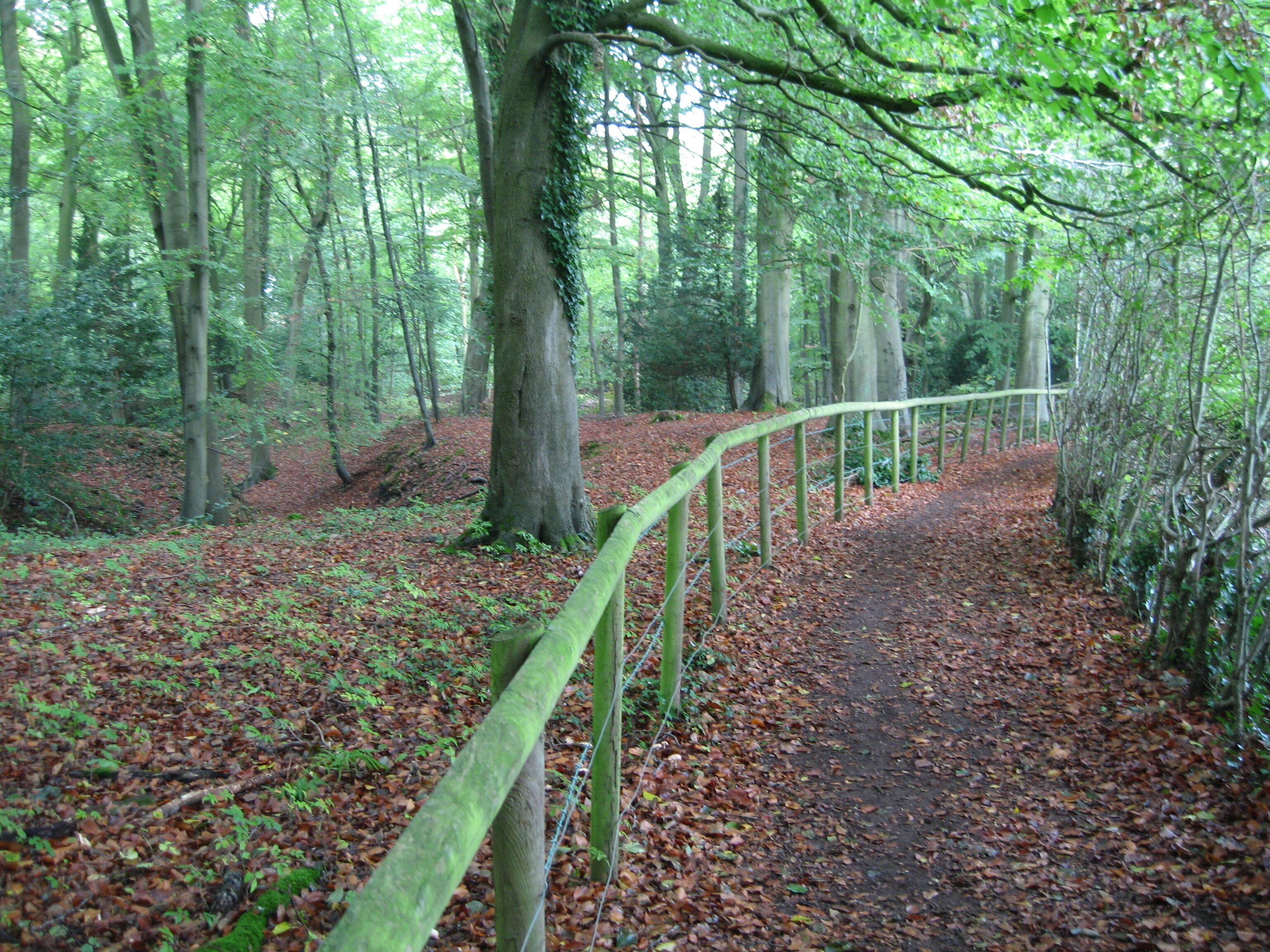 Bath Skyline Route leading to Prior Park Gardens