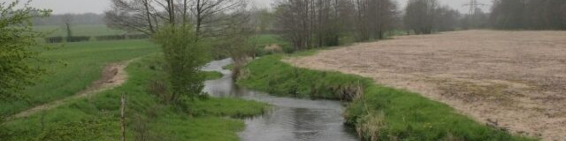 Heckfield. Looking west along the River Whitewater with Great Danmoor Copse on the right.