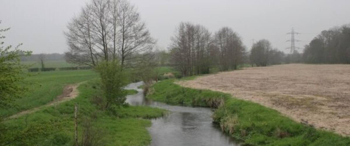 A narrow water channel in a rural landscape with trees and open fields.