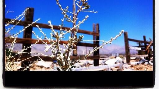 Pearsonville mansion