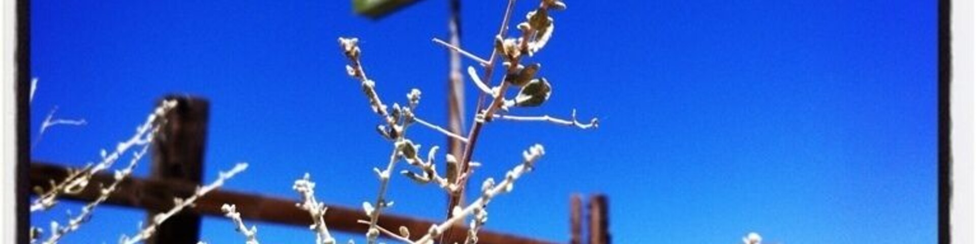 Pearsonville mansion