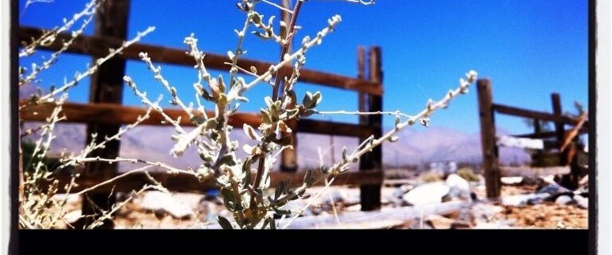 A desert landscape with a wooden fence and a sign that reads "EAT."