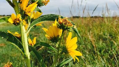Open fields beautiful views