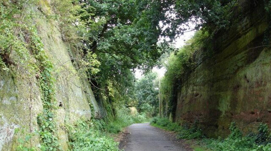 Moor Lane This short section of the lane (now a bridleway along its entire length) is cut through the local sandstone ridge - for the rest of its length the lane is nowhere near as spectacular.