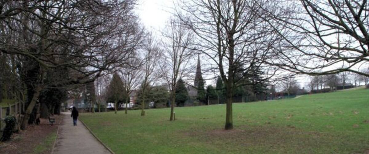A park pathway with trees and a grassy area.