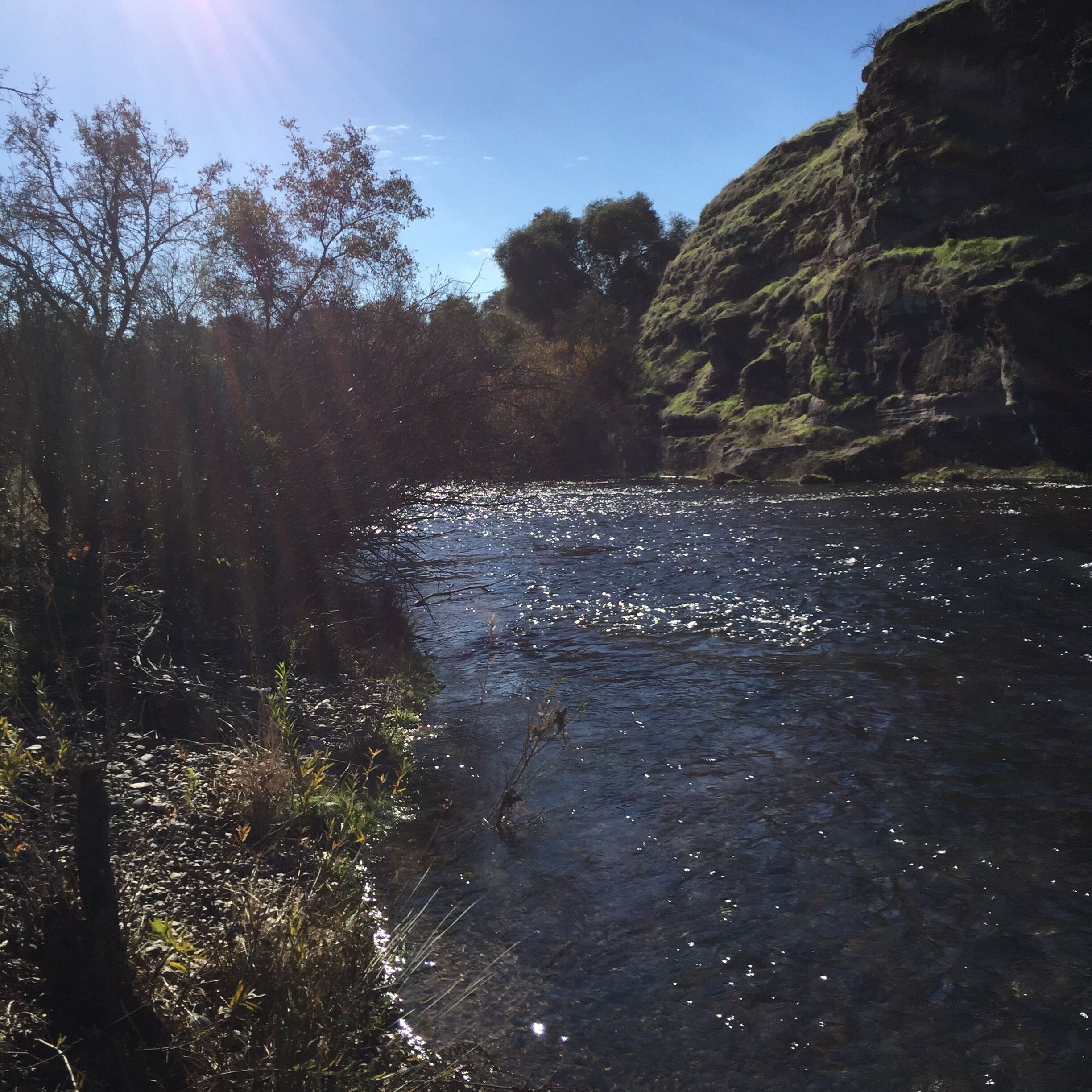All that glitters....is better than gold. The river is my place for solitude, celebration, gratitude, and comfort. My words do no justice to this place. 