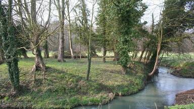 Little Island at Chicksand Barracks This little island at the junction with the River Flit above Campton Plantation.