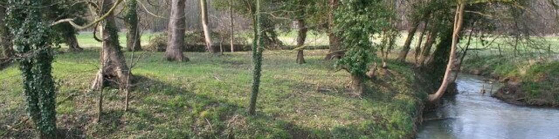 Little Island at Chicksand Barracks This little island at the junction with the River Flit above Campton Plantation.