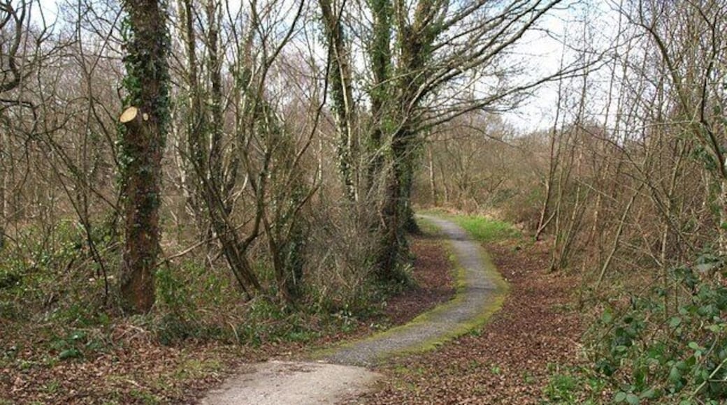 Hennock Bridleway 18 The bridleway, which has a made-up surface, runs parallel to and about 20 metres away from the B3344 northwest of Chudleigh Knighton for about 300 metres, but here it bends to the left away from the road. It is running through woodland on Chudleigh Knighton Heath.