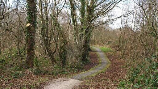 Hennock Bridleway 18 The bridleway, which has a made-up surface, runs parallel to and about 20 metres away from the B3344 northwest of Chudleigh Knighton for about 300 metres, but here it bends to the left away from the road. It is running through woodland on Chudleigh Knighton Heath.