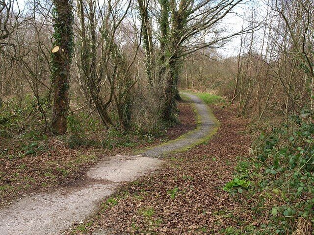 A narrow, winding path through a wooded area with leaf-covered ground and trees on either side.