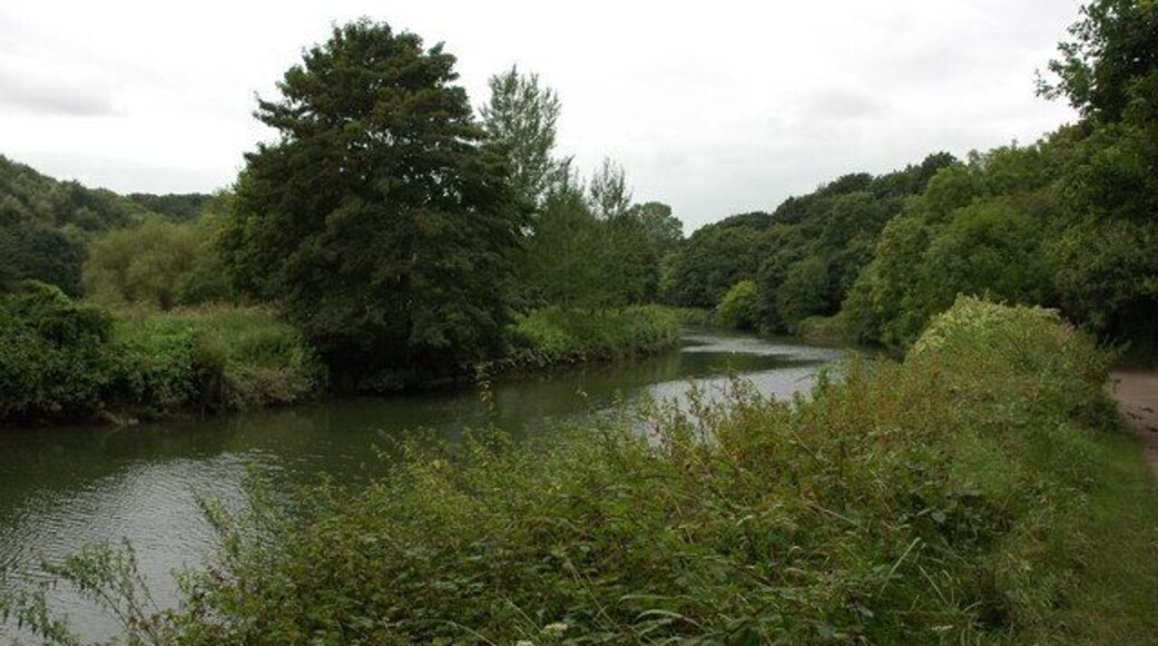 The River Avon below Conham