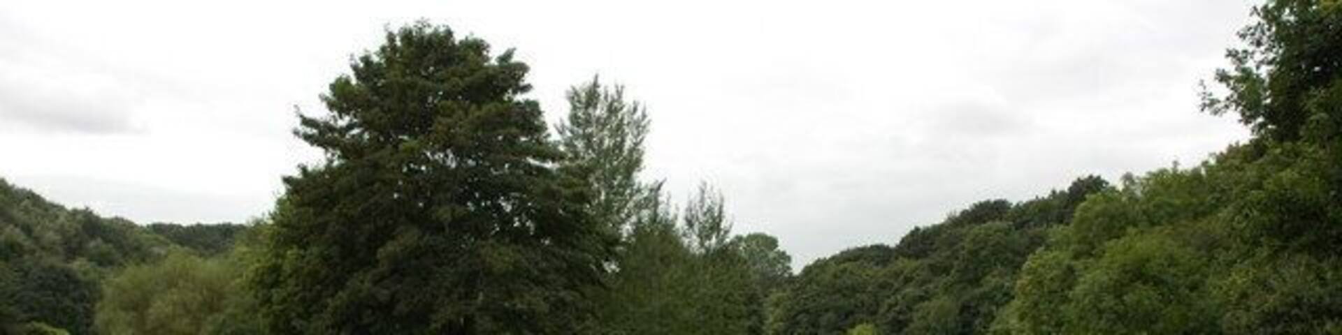 The River Avon below Conham