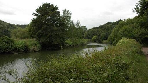The River Avon below Conham