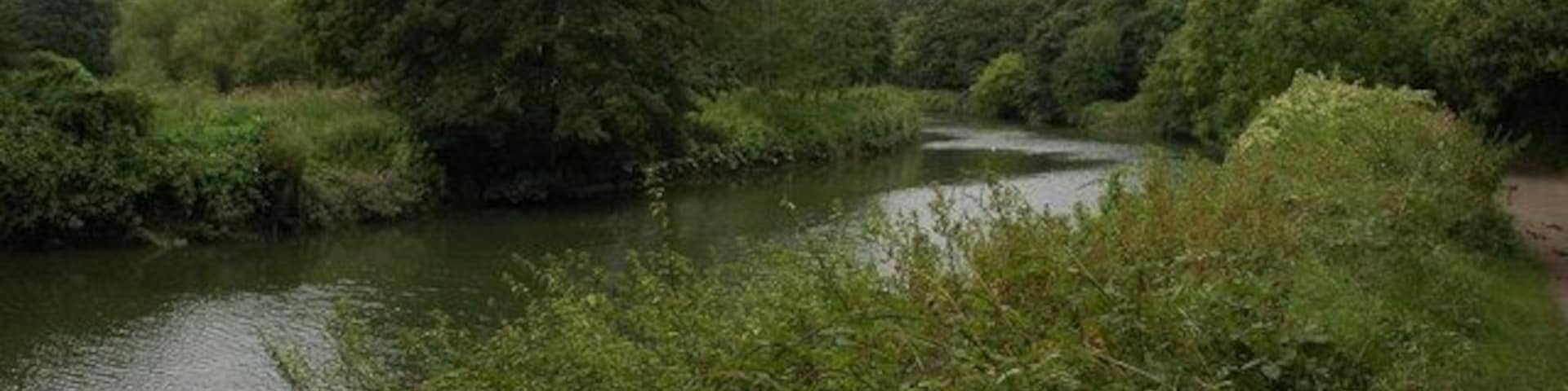 The River Avon below Conham