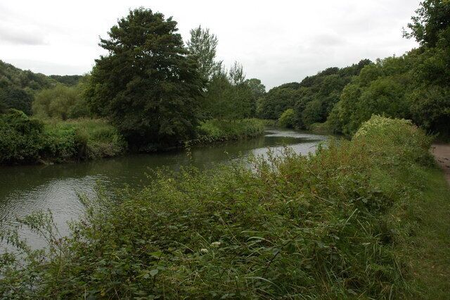 A river surrounded by dense greenery and trees.