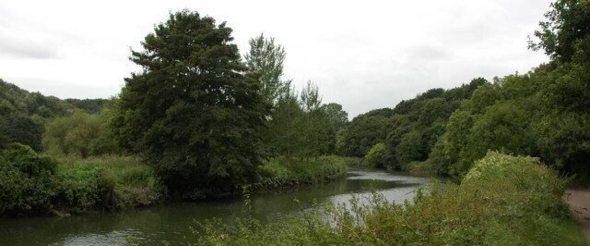 A river surrounded by dense greenery and trees.