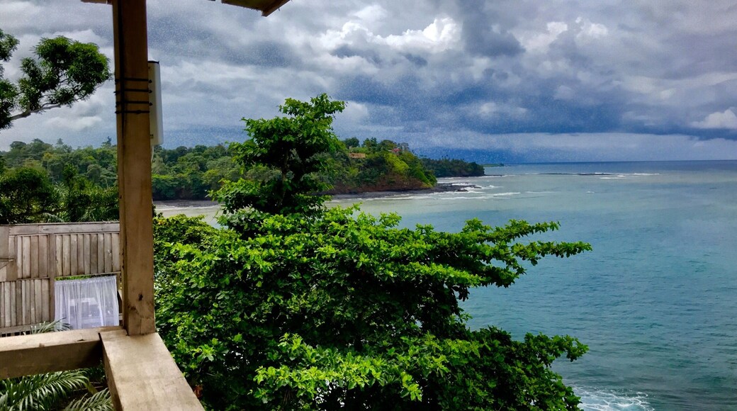 View from the terrace...