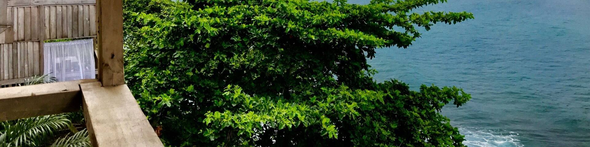 View from the terrace...