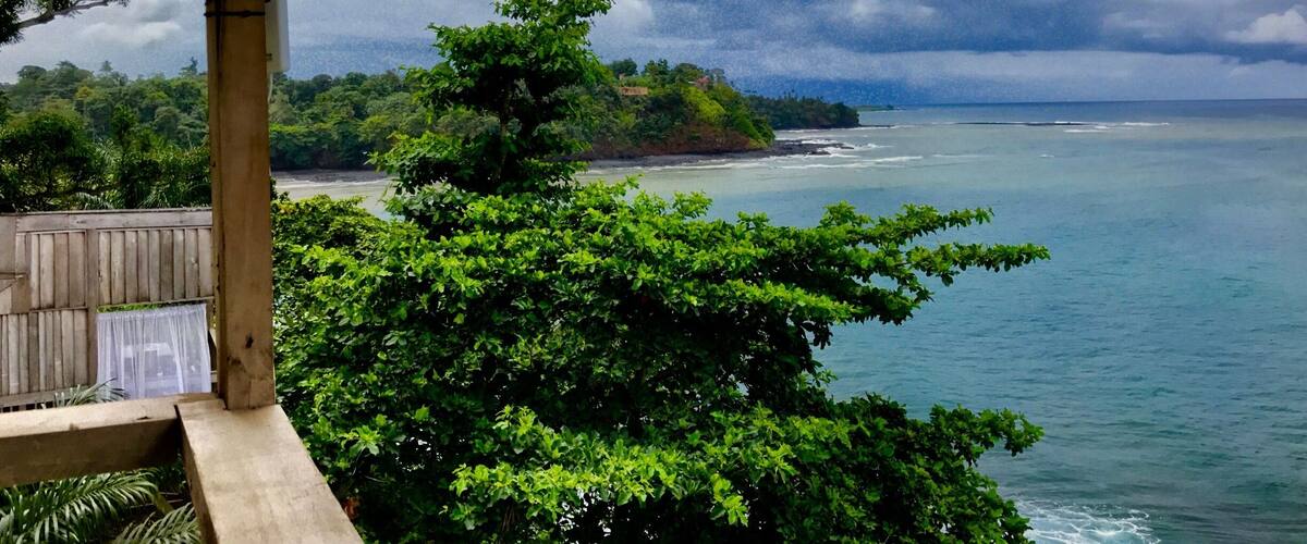 A coastal landscape with a wooden deck, lush green foliage, and a view of the ocean under a cloudy sky.