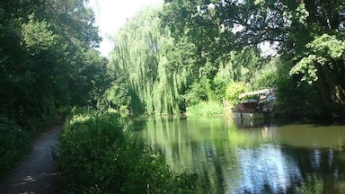 Ash Vale