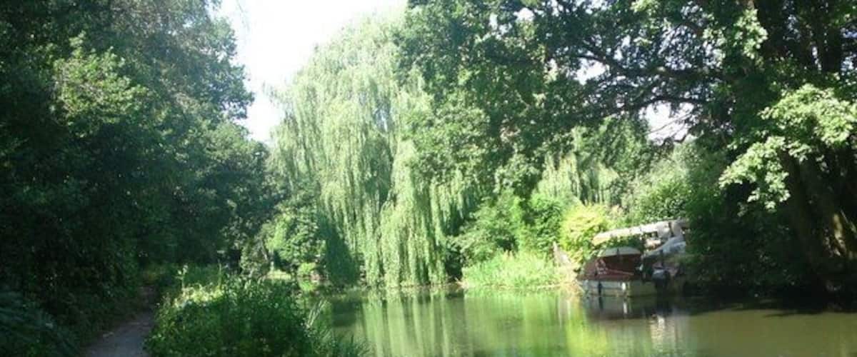 A narrow path beside a calm river, surrounded by dense greenery and trees.