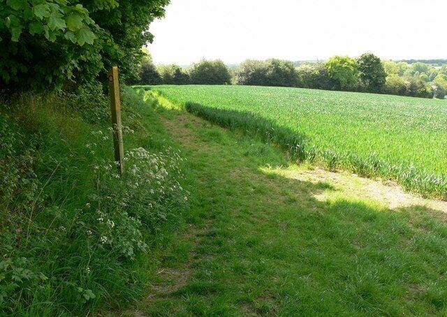 Footpath and field near Blackfordby