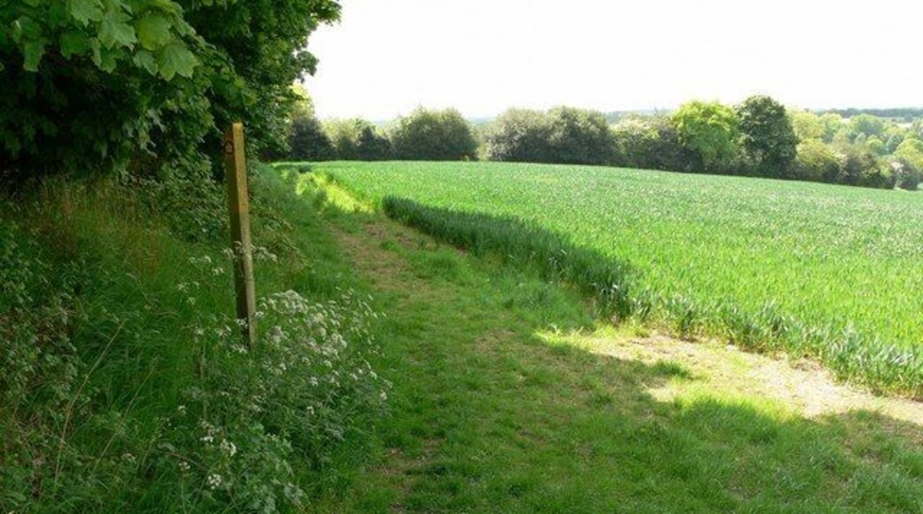 Footpath and field near Blackfordby