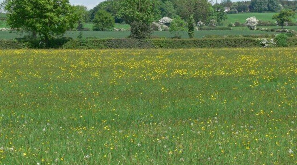 Farmland east of Blackfordby, Leicestershire