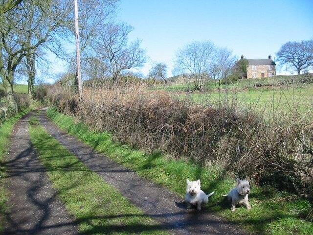 Park Farm on Eaton Hill. Park Farm enjoys a spectacular location on top of Eaton Hill. From its lofty position extensive views along the Derwent valley can be enjoyed.
