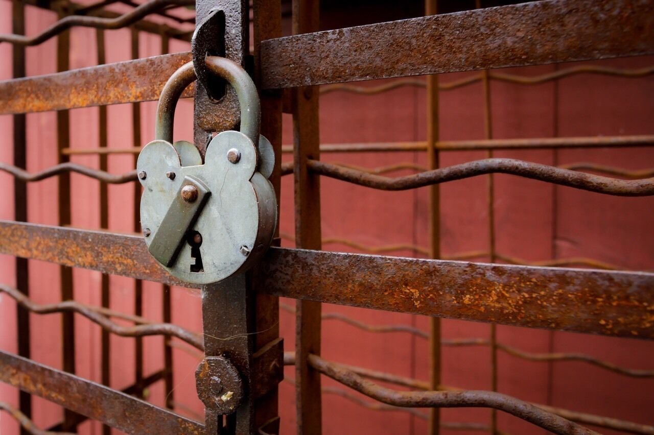 So I picked up a new Canon EOS RP as a little travel companion to take along on my little day trips with the wife. Always amazing stuff at some of our Connecticut Wineries. If you are ever in Connecticut check out the Connecticut Wine Trail. Beautiful locations throughout especially in fall.