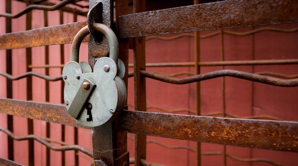 So I picked up a new Canon EOS RP as a little travel companion to take along on my little day trips with the wife. Always amazing stuff at some of our Connecticut Wineries. If you are ever in Connecticut check out the Connecticut Wine Trail. Beautiful locations throughout especially in fall.