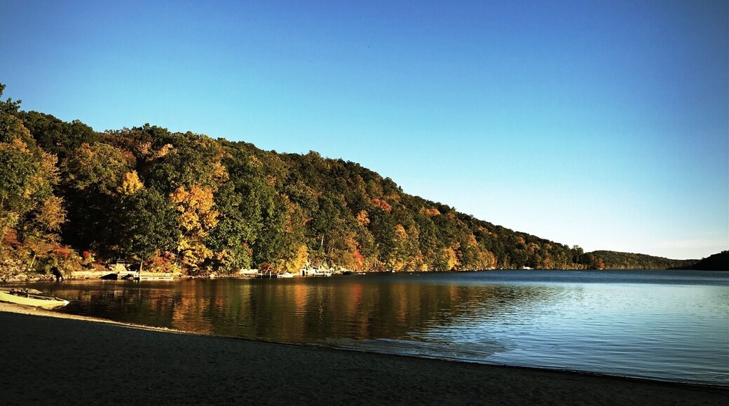 🍂Outono 🍂chegou!!! Árvores ficando amarelinhas! 🍂
