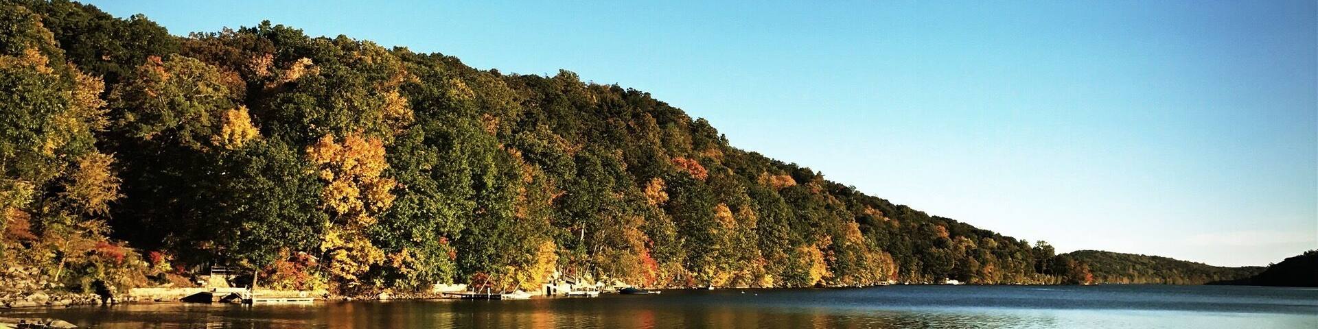 🍂Outono 🍂chegou!!! Árvores ficando amarelinhas! 🍂