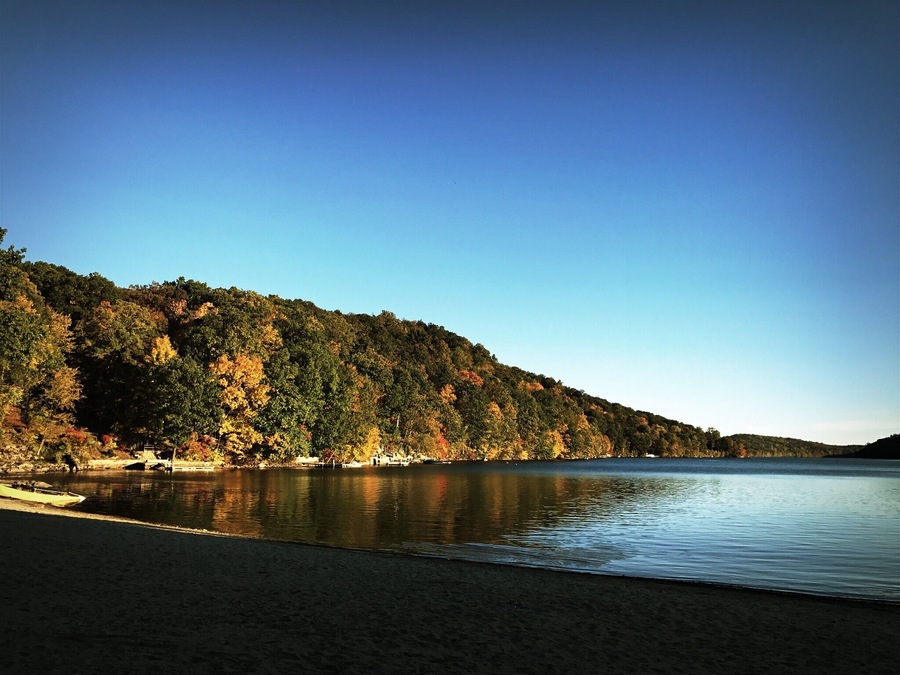 🍂Outono 🍂chegou!!! Árvores ficando amarelinhas! 🍂