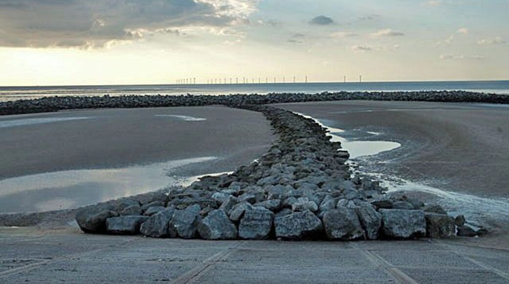 Coastal defences at Mockbeggar Wharf