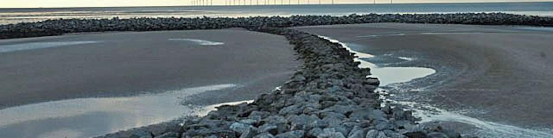 Coastal defences at Mockbeggar Wharf