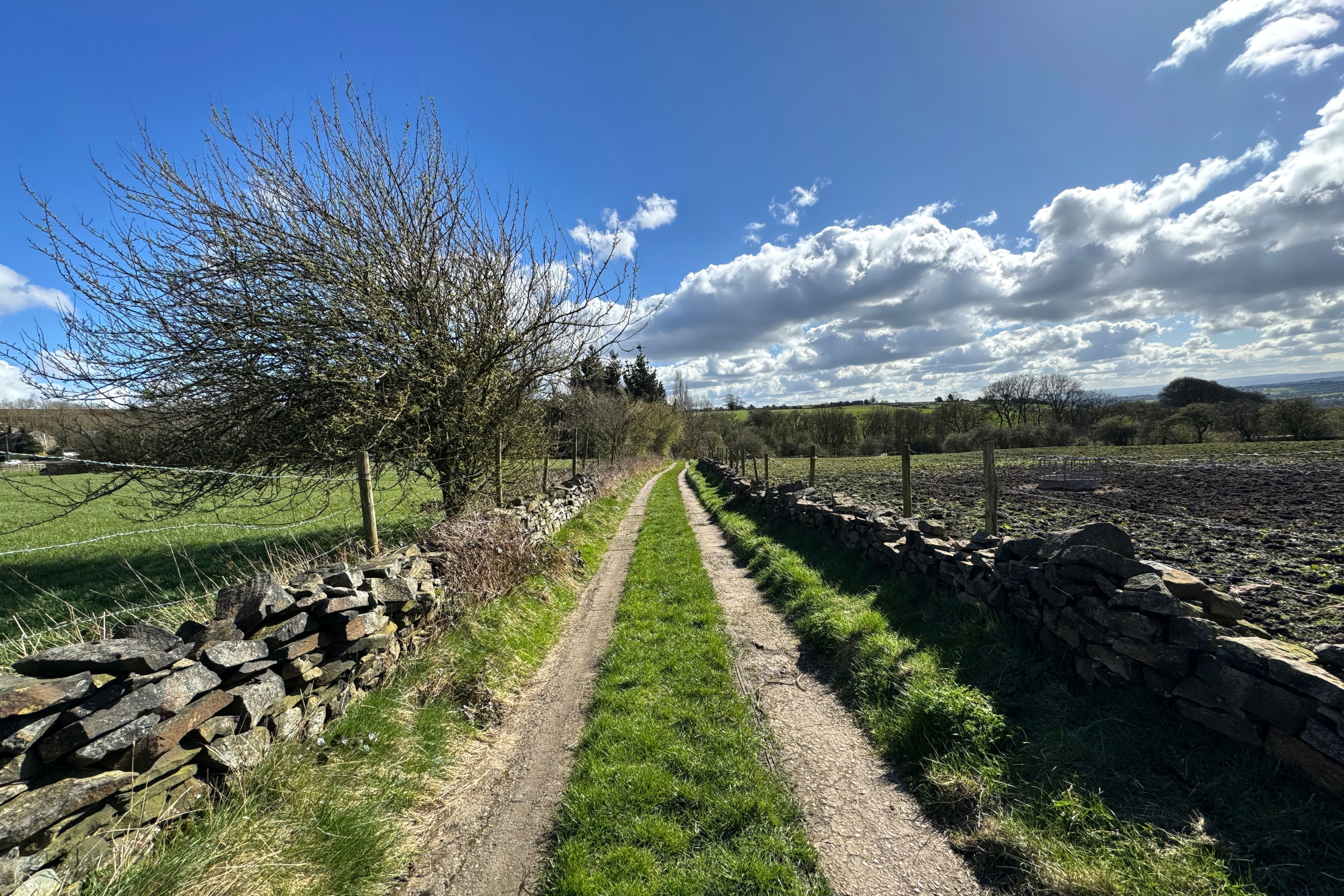 A rural landscape with a stone wall, a dirt path, and a tree with bare branches.