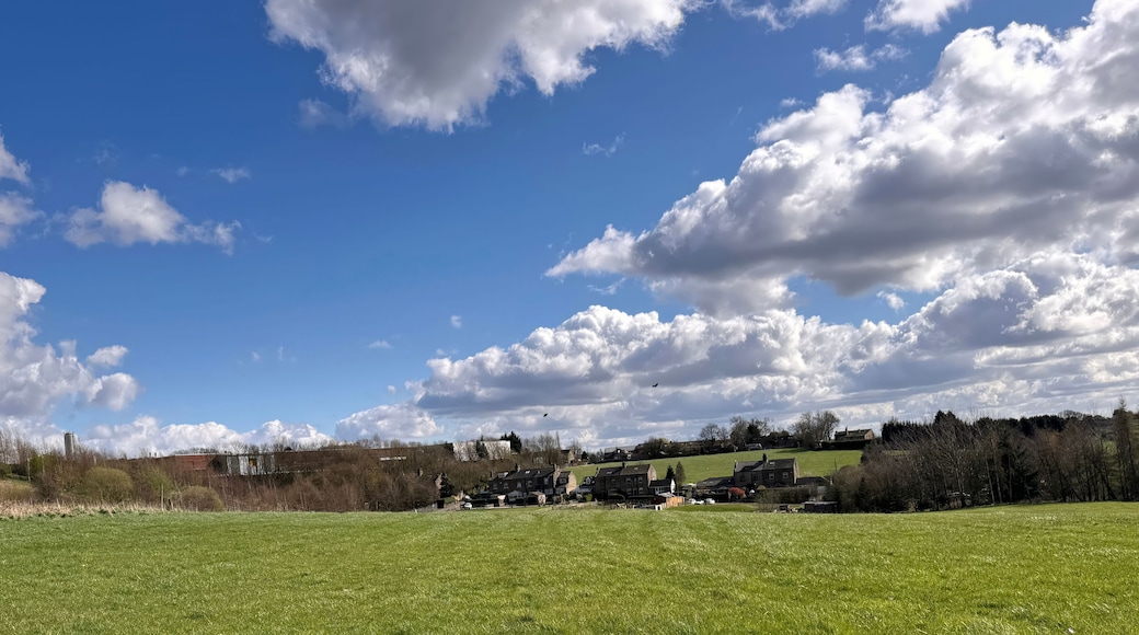 A rural landscape with a clear blue sky, scattered clouds, and a green field.
