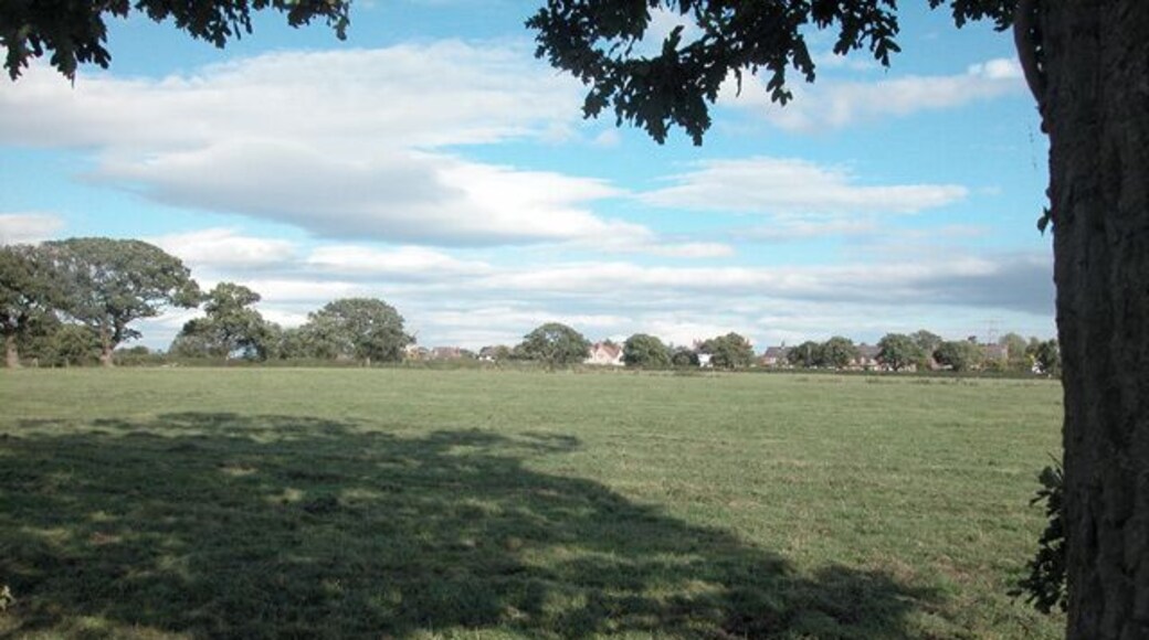 Saughall Pasture