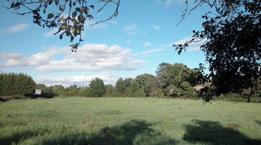 Grazing land. Close to Parkgate Road, fields nearby tend to be smaller than in the surrounding area.