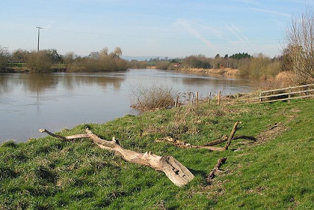 Driftwood washed up on the banks of the Severn A lot of debris washed up along the banks today after recent flooding.