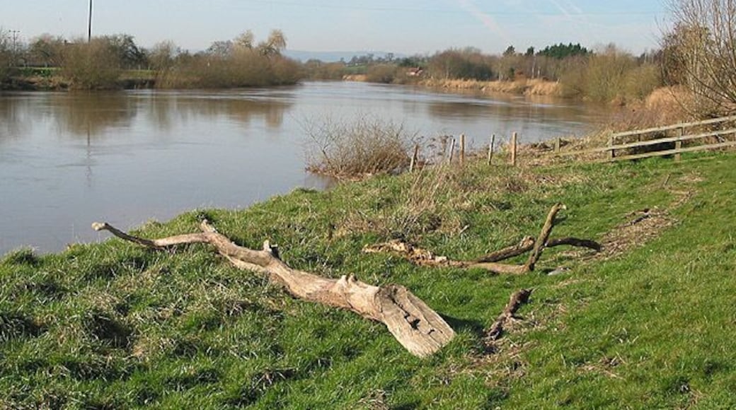 Driftwood washed up on the banks of the Severn A lot of debris washed up along the banks today after recent flooding.