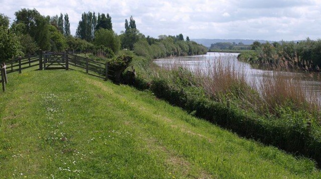 River Severn at Minsterworth. Looking upstream from the Gloucestershire Way, here following footpath EMW7/1 and having to negotiate a succession of gates through fences along the levee. Technically the path diverts down to the left around here, aiming for 118827, but the last gate onto the lane by the church was impassable when I tried to follow the correct route.